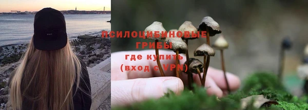 СК Вязьма